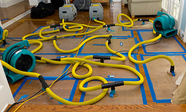 Professional Flood Damage Restoration technician working in Dennehotso, AZ